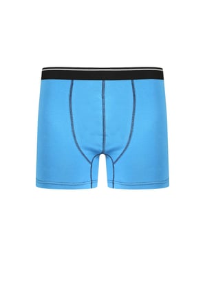 Akbeniz Erkek Pamuk Likralı Boxer Mavi 40133