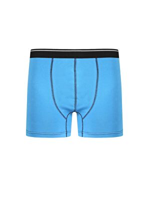 Akbeniz Erkek Pamuk Likralı Boxer Mavi 40133