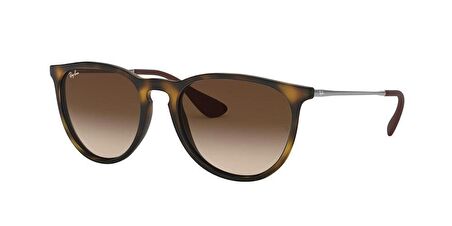 RAYBAN 4171 865/13 54 Unisex Güneş Gözlüğü