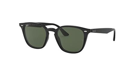 RAYBAN 4258 601/71 50 Erkek Güneş Gözlüğü