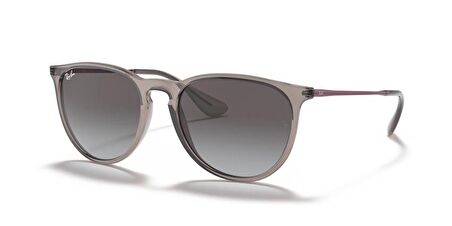 RAYBAN 4171 65138G 54 Unisex Güneş Gözlüğü