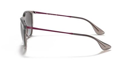 RAYBAN 4171 65138G 54 Unisex Güneş Gözlüğü