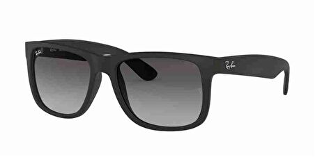 RAYBAN 4165 601/8G 55 Erkek Güneş Gözlüğü