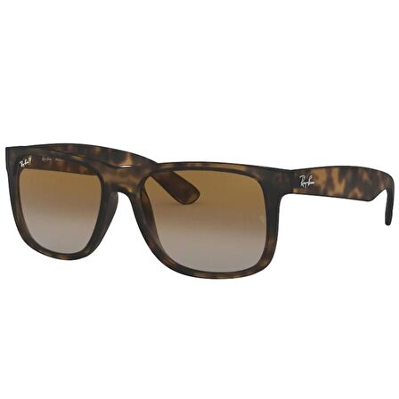 RAYBAN 4165 865/T5 55 Erkek Güneş Gözlüğü