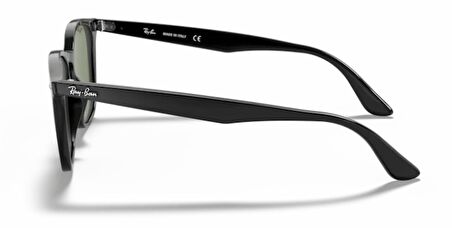 RAYBAN 4259 601/71 51 Unisex Güneş Gözlüğü