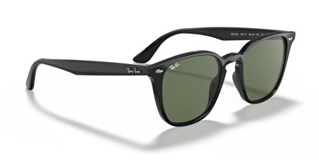RAYBAN 4259 601/71 51 Unisex Güneş Gözlüğü