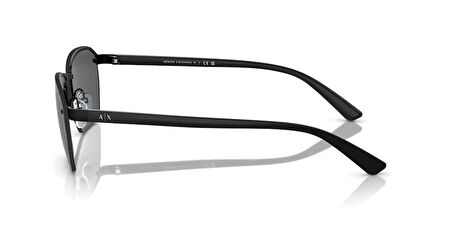 ARMANI EXCHANGE 0AX2048S 600087 59 Erkek Güneş Gözlüğü