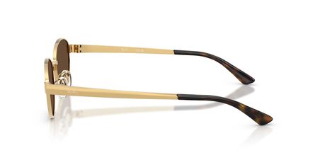 RAY-BAN 0RB3774D 001/73 55 Kadın Güneş Gözlüğü
