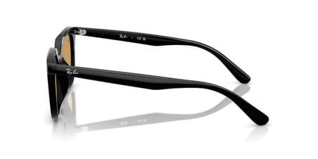 RAY-BAN 0RB4439D 901/73 54 Kadın Güneş Gözlüğü