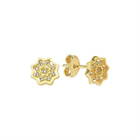 14 Ayar Taşlı Yıldız Altın Küpe 1,43 gr