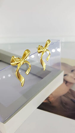 Fiyonk Çelik Küpe Sns302005