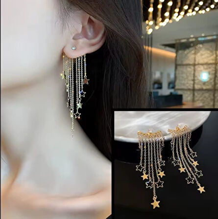 Yıldız Sallantılı Çelik Küpe Sns302013