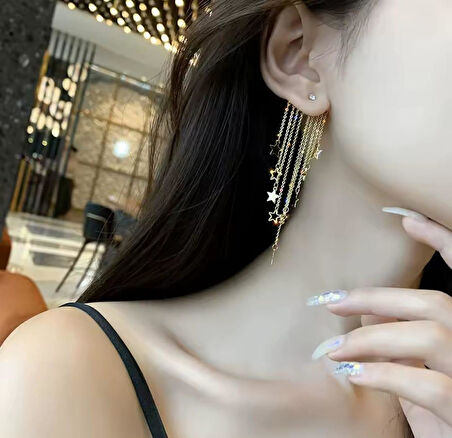 Yıldız Sallantılı Çelik Küpe Sns302013