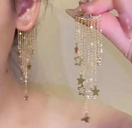 Yıldız Sallantılı Çelik Küpe Sns302013