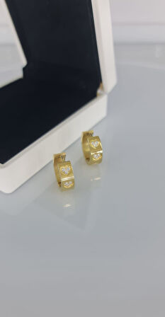 Kalp Halka Çelik Küpe Sns302014