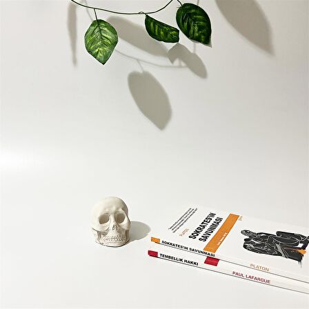 Beton Dekoratif Mini Kurukafa Biblo