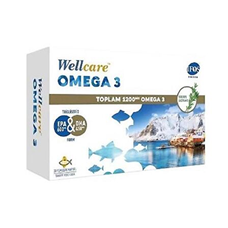 Wellcare Omega 3 Balık Yağı 1200 mg 30 Kapsül