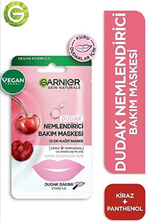 Garnier Dudak Nemlendirici Bakım Maskesi 5 gr