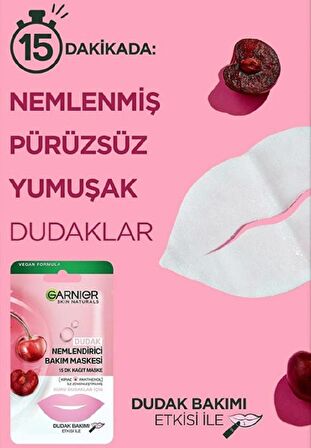 Garnier Dudak Nemlendirici Bakım Maskesi 5 gr