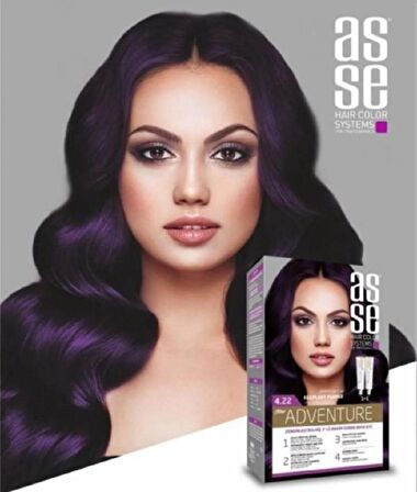 Asse Hair Color System Saç Boyası Patlıcan Moru No: 4.22