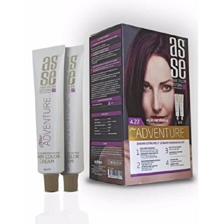 Asse Hair Color System Saç Boyası Patlıcan Moru No: 4.22