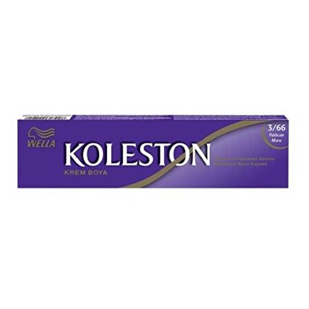 Koleston Tüp Boya Patlıcan Moru 3-66