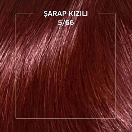 Koleston Kit Saç Boyası 5/66 Şarap Kızılı