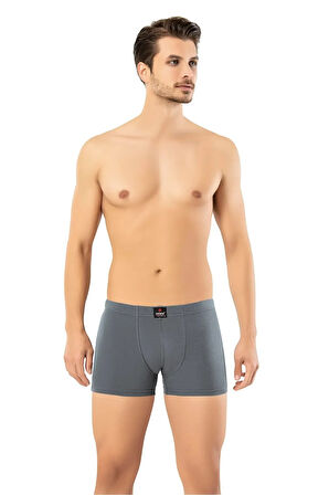Erdem Füme Kısa Görünümlü Slim Fit Boxer 1420