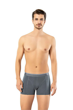 Erdem Füme Pamuk Elastan 2 li Klasik Boxer 1445