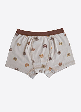 Organik Bear 3'lü Boxer Kahverengi