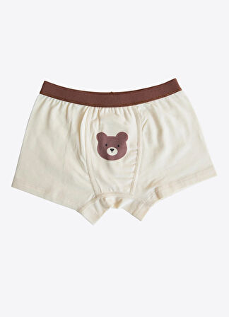 Organik Bear 3'lü Boxer Kahverengi