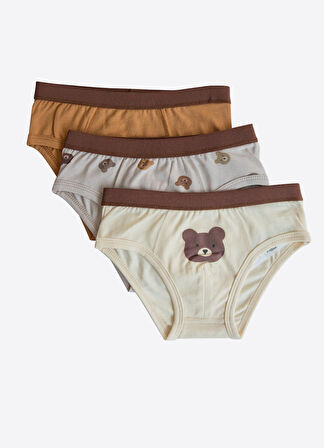 Organik Bear 3'lü Külot Kahverengi