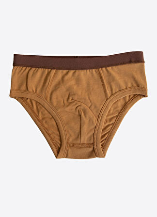 Organik Bear 3'lü Külot Kahverengi