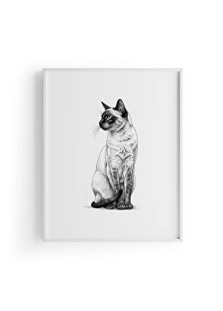 Karakalem Koleksiyonu Kedi Posteri