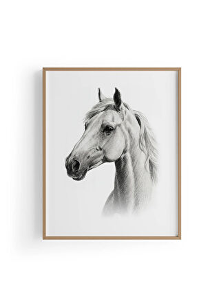 Karakalem Koleksiyonu At Posteri