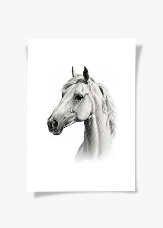 Karakalem Koleksiyonu At Posteri