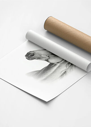 Karakalem Koleksiyonu At Posteri