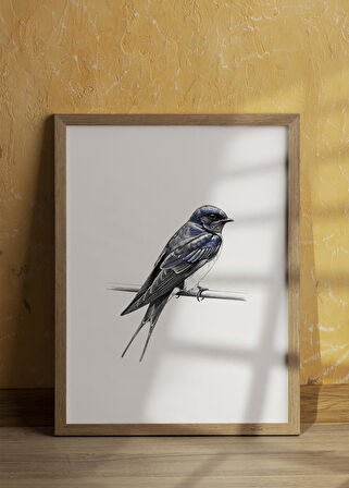 Karakalem Koleksiyonu Kırlangıç Koleksiyonu