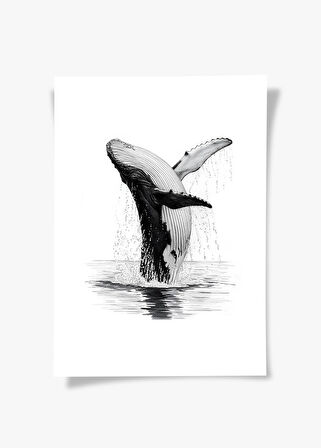 Karakalem Koleksiyonu Balina Posteri