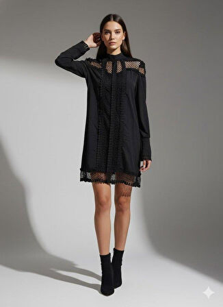 Kadın Uzun Kollu Yarım Balıkçı Yaka Transparan Detaylı Mini Elbise