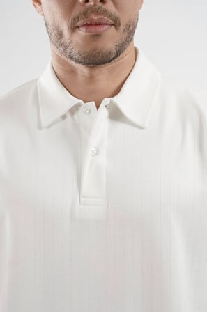 Polo Yaka Çizgi Detaylı Regular Kalıp Erkek Tişört
