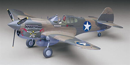 Hasegawa ST29 8879 1/32 Ölçek, P-40E Warhawk, Savaş Uçağı Plastik Model Kiti