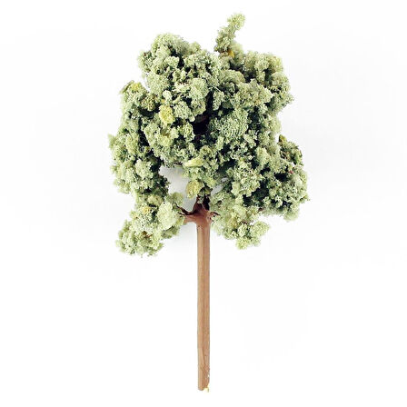 Hobbytime 9 Cm. Zeytin Ağacı Modeli, 2 Adet