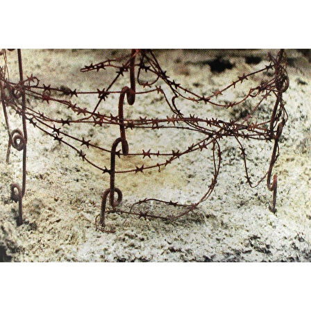 AK 8015 250 ml. Kuru Arazi, Akrilik, Diorama Serisi Zemin Dokusu