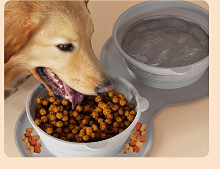 Mikopet Katlanabilir İkili Mama ve Su Kabı