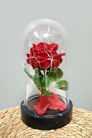 Gül Işıklı Led Fanus