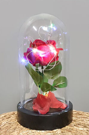 Gül Işıklı Led Fanus