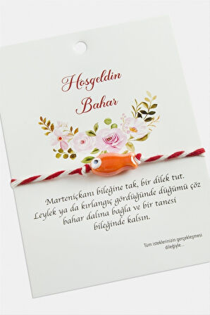 Balık Cam Boncuk Marteniçka İp Bileklik