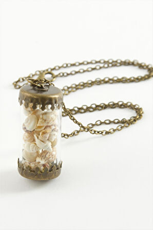 Deniz Kabuğu Fanus Canlı Kolye