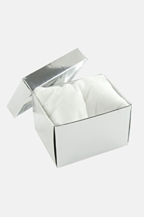 Gümüş Renkli Kapaklı Saat Kutusu